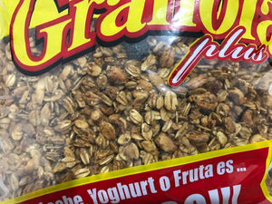 Granola - VIDA ALEGRE - El Cono